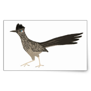 307x307 Color Pencil Drawing Of Bird Stickers Zazzle Ca