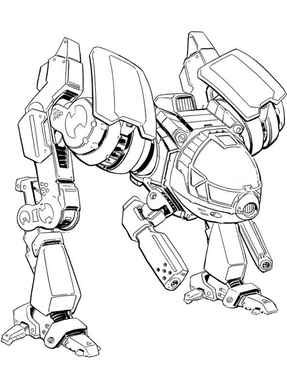 592x800 Roadrunner Rd