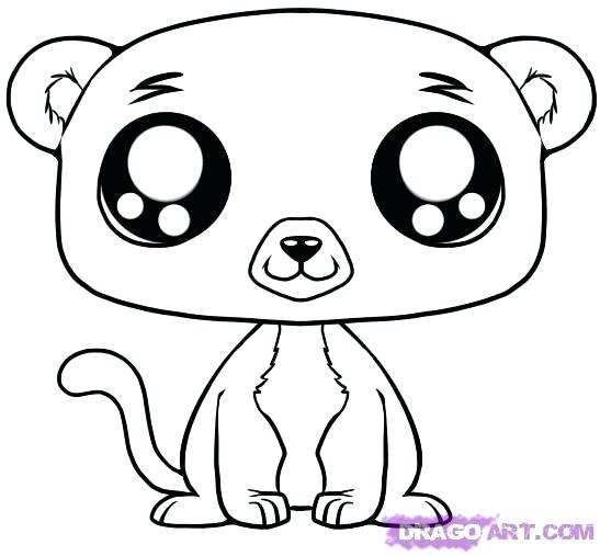 547x507 Drawing A Lion How Do You Draw A Lion How To Draw A Lion Roaring