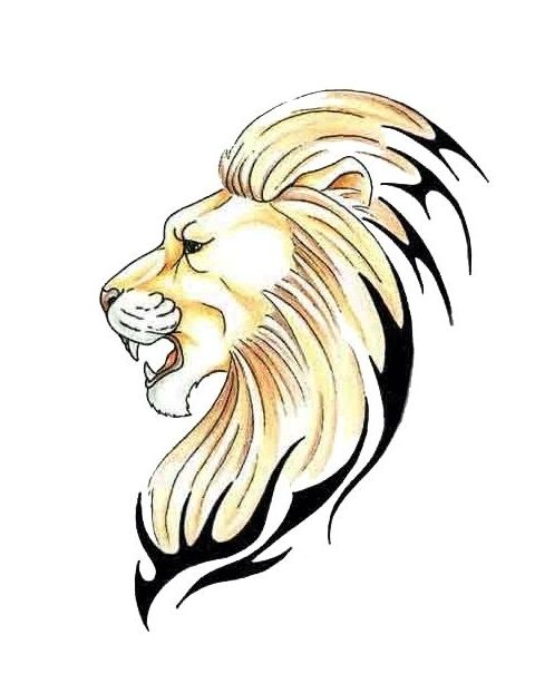 480x622 Food For Thought Tattoo Designs, Lion