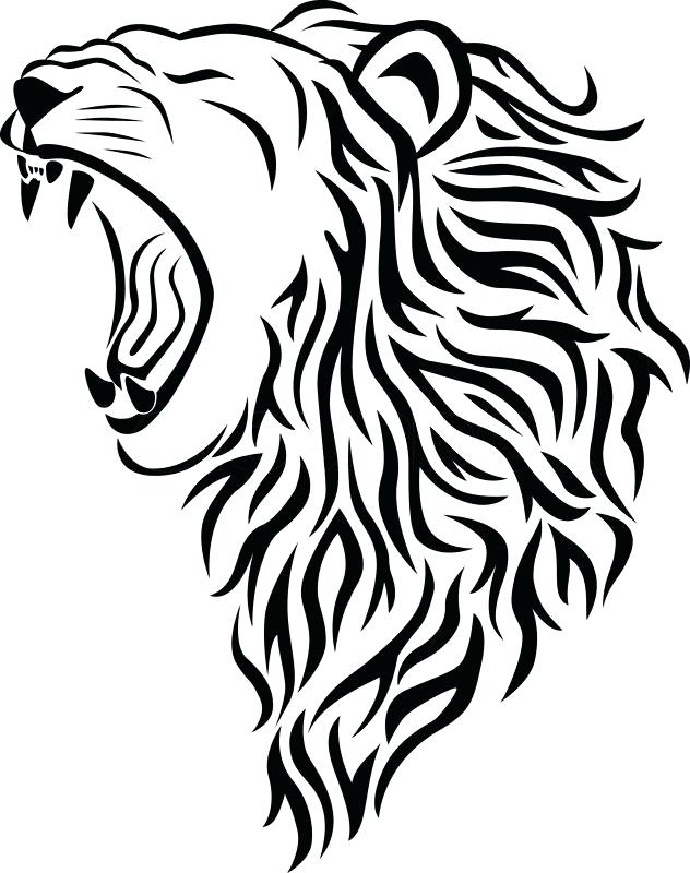 632x800 How To Draw A Lion Head