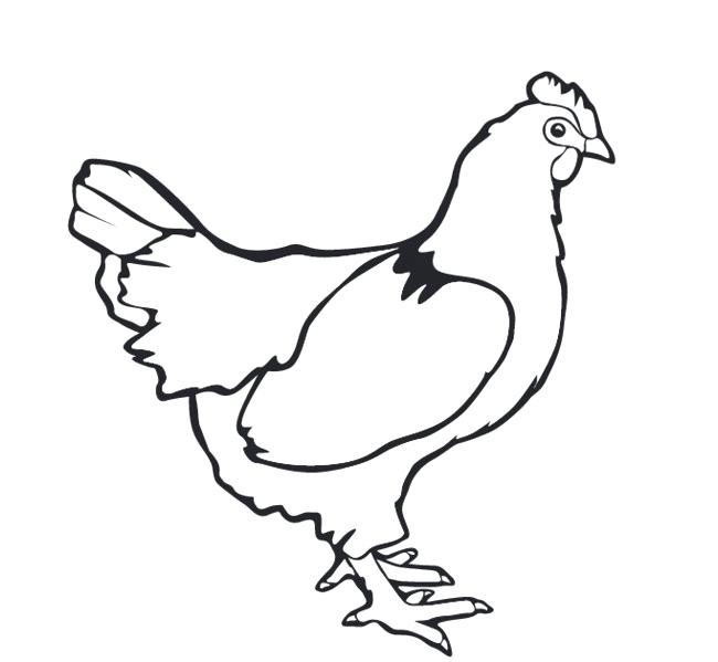 650x599 Chicken Outline Thigh Chicken Fast Food Roasted Outline Vector