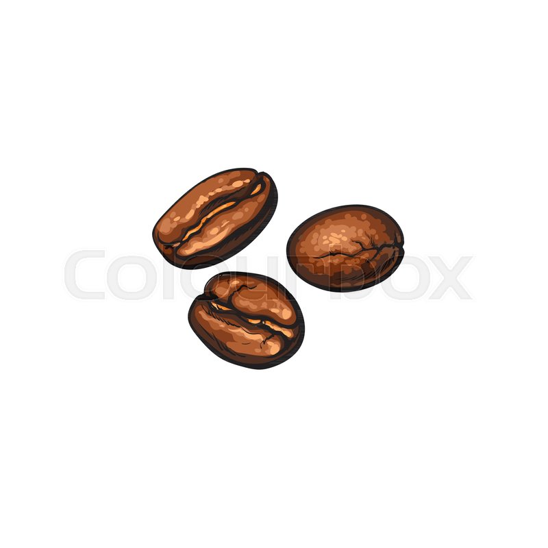 800x800 Three Hand Drawn Roasted Coffee Beans, Stock Vector Colourbox