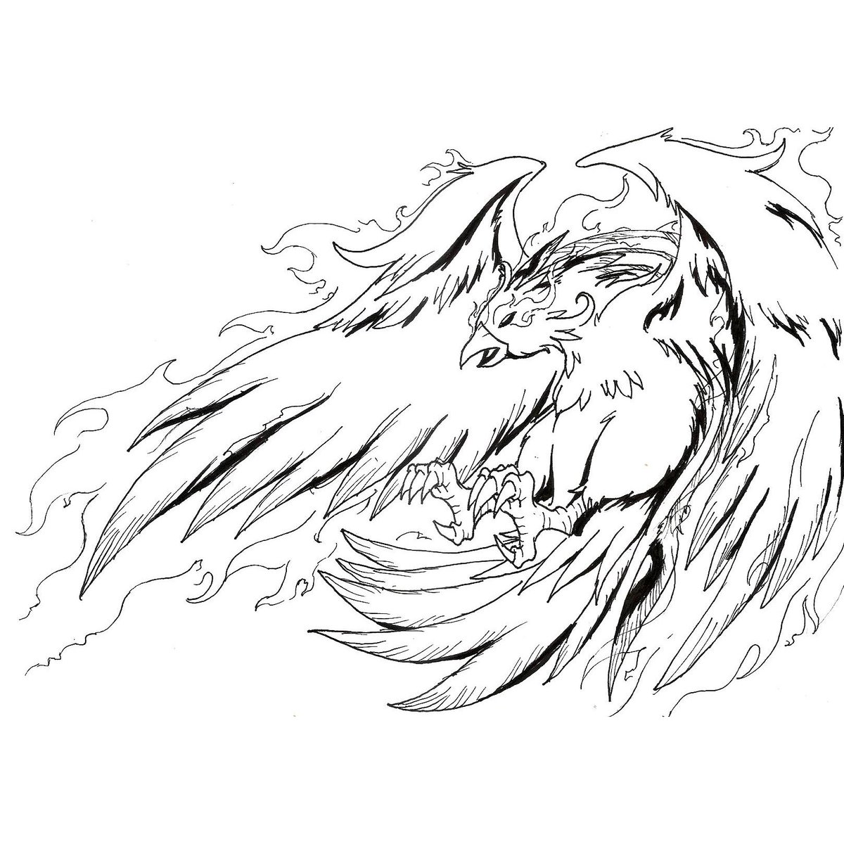 1200x1200 Bobby Kurniawan On Twitter Phoenix The Fiery Bird That