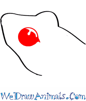 300x350 How To Draw A Bob's Robber Frog