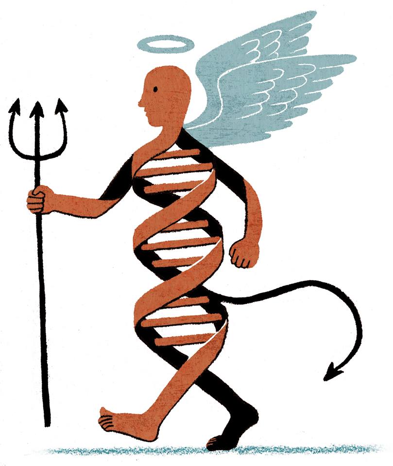 809x960 James Steinberg Illustrationjames Steinberg Illustration