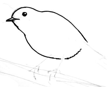 379x300 How To Draw A Robin