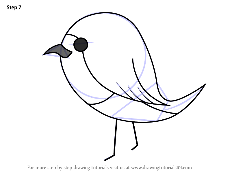 848x602 Learn How To Draw Robin Bird For Kids