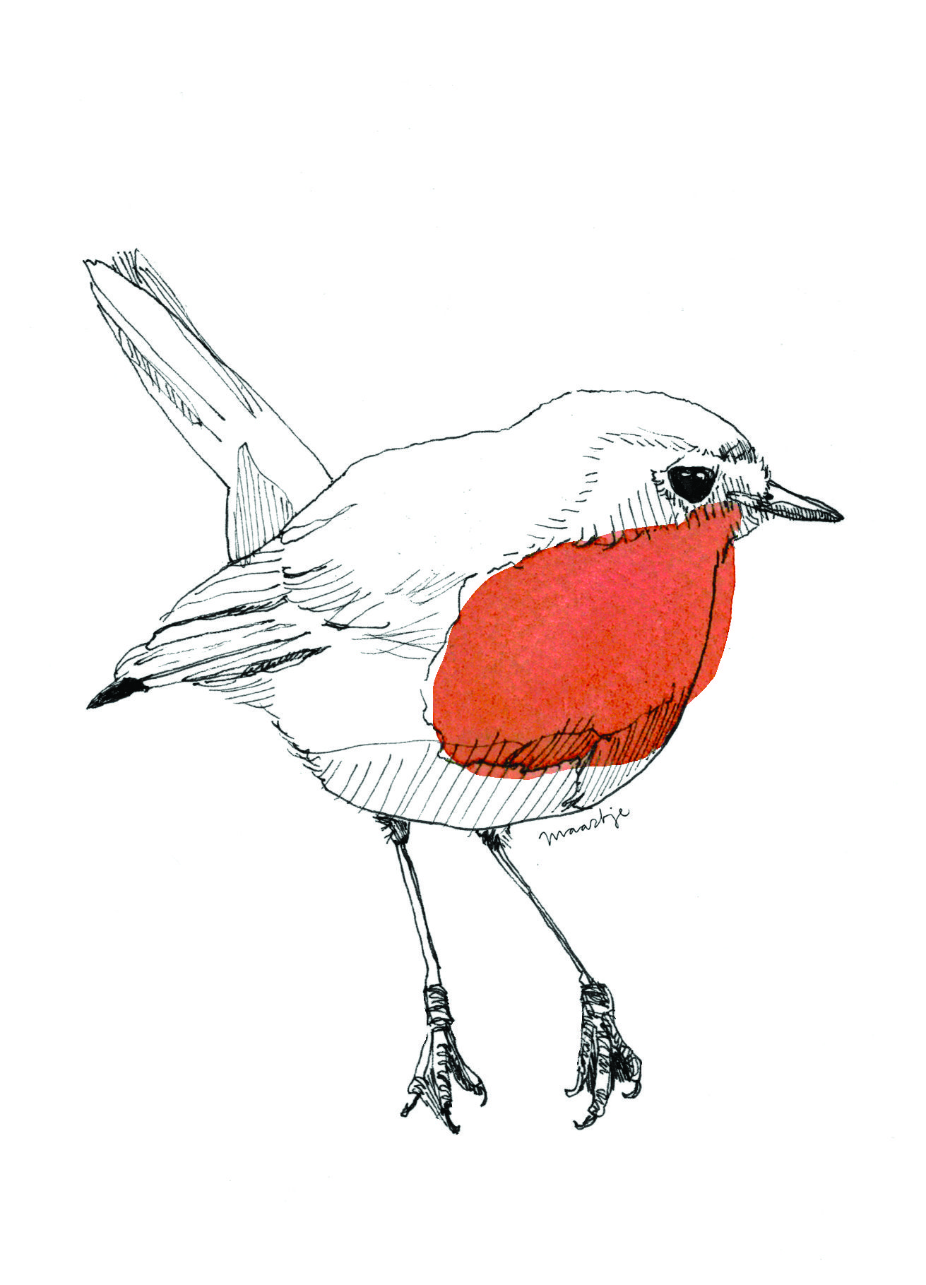 1311x1819 Winter Cards + Envelopes In Artsy Crafty Bird Line