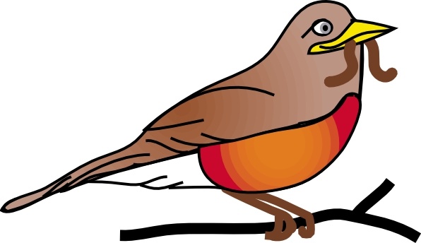 596x344 Amercan Robin Clip Art Free Vector In Open Office Drawing