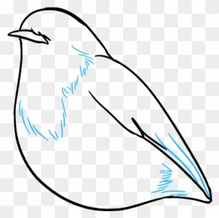 320x318 How To Draw Robin