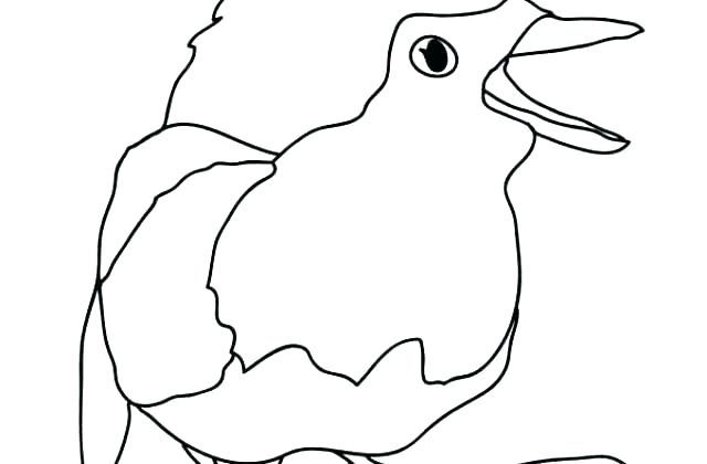 640x420 robin bird coloring pages robin bird coloring pages bird coloring