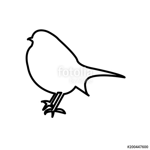 500x500 Robin Outline On White Background Stock Image And Royalty Free
