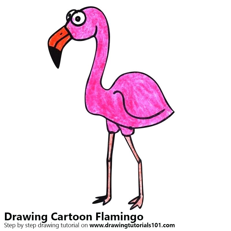 800x800 Drawing Of A Flamingo Step