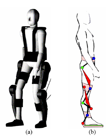 372x456 Example Of An Anthropomorphic Wearable Robot For The Lower Limbs