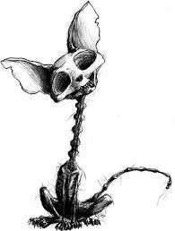 195x258 Keep Caml And Rock N Roll Inspiration For Horror Writing