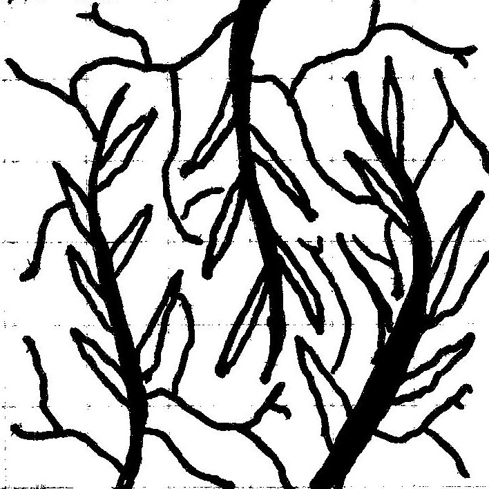 708x708 Pranav Vaze Experiment Submission