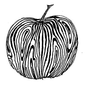 290x290 Apply Textures To Apples Art Lesson