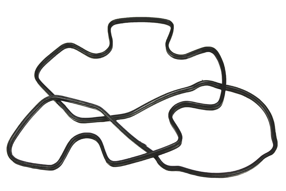 1000x667 Rocker Cover Gasket