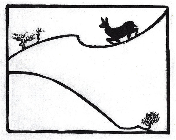 600x479 Rocky Mountain Drawings