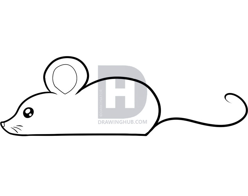 843x668 How To Draw A Mouse For Kids, Step