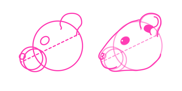 600x300 How To Draw Animals Small Rodents And Their Anatomy