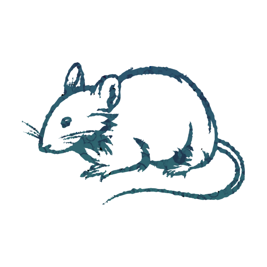 900x900 Rat, Drawing, Illustration, Transparent Png Image Clipart Free