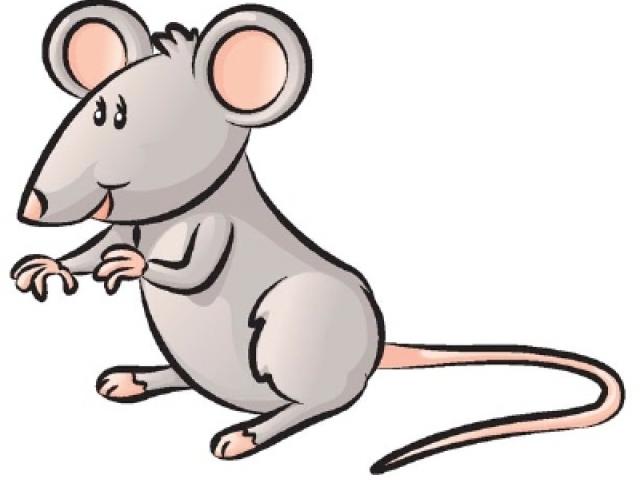 640x480 rodent clipart drawing
