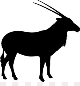 260x280 goat tying png