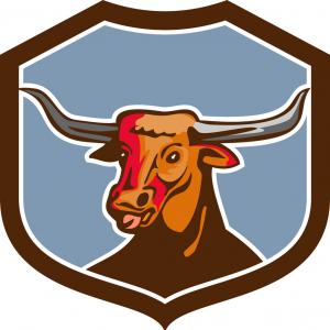 300x300 Cartoon Texas Longhorn Steer Bull Leaping Through A Rodeo Lasso