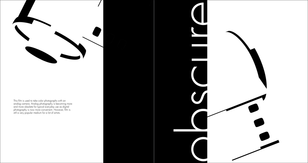 1000x529 Graphic Translation Project Lauren Baker