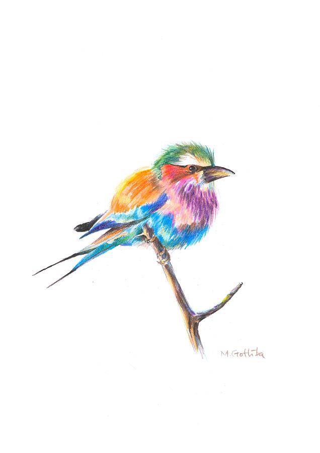 636x900 Lilac Breasted Roller Bird Drawing