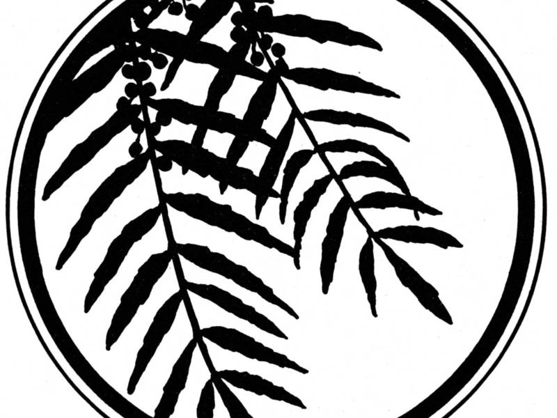 800x600 Rolling Hills Estates Pepper Tree Foundation Palos Verdes, Ca Patch