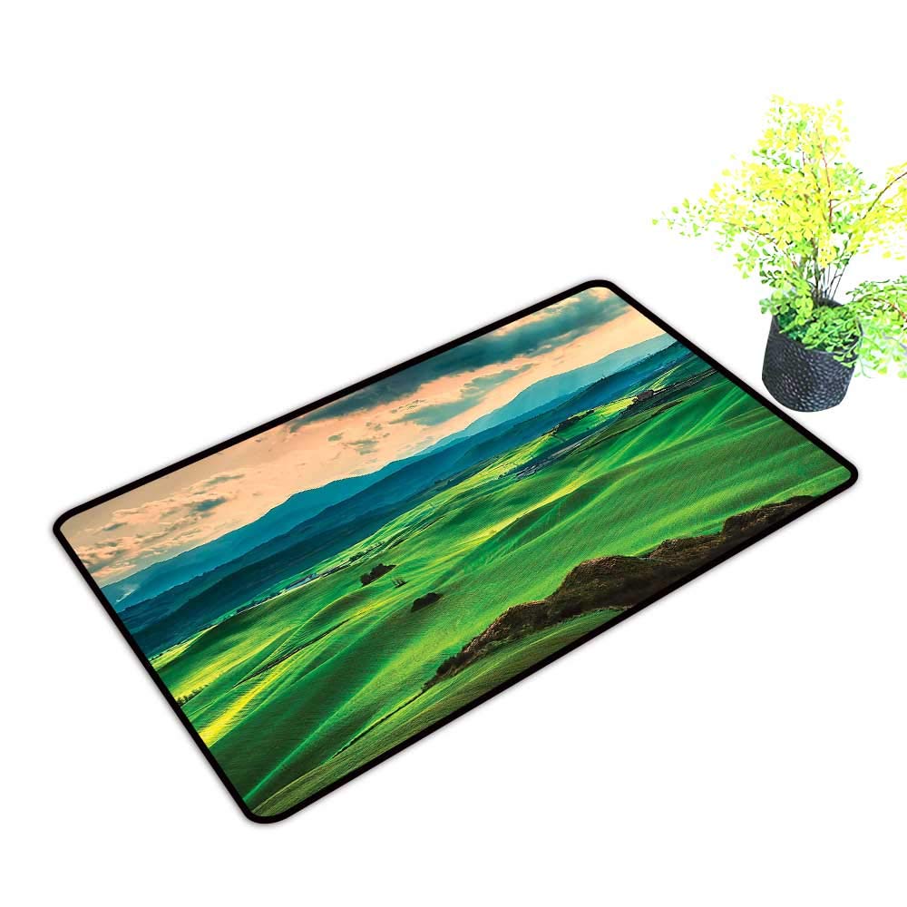 1000x1000 gmnalahome large door mats shoes scraper rolling hills