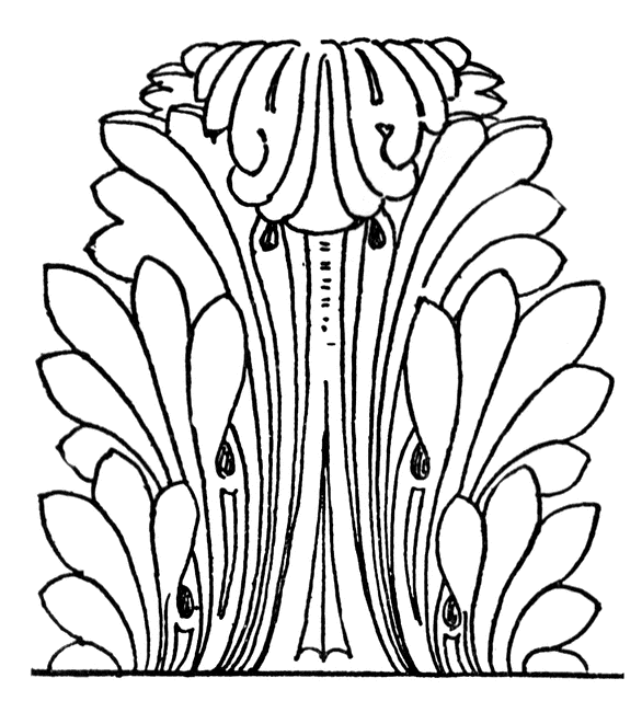 586x640 Acanthus Leaves Clipart Etc