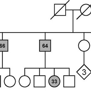 320x320 Pedigree Of The Family Generations Are Indicated