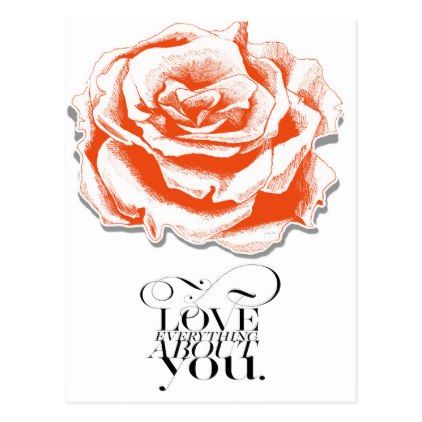 422x422 Illustrated Red Rose Love You Postcard Romantic