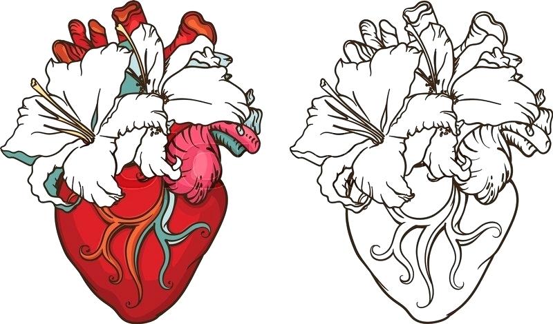 800x470 Drawings Heart Shirleysprinkles
