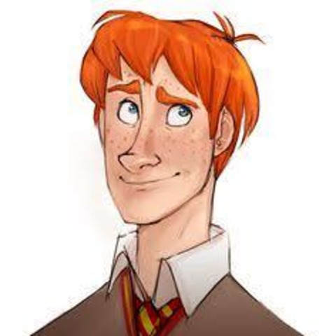 480x480 Ron Weasley Screenshots, Images And Pictures
