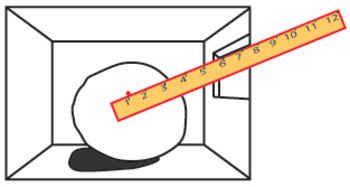 350x187 One Point Perspective Room And Magritte