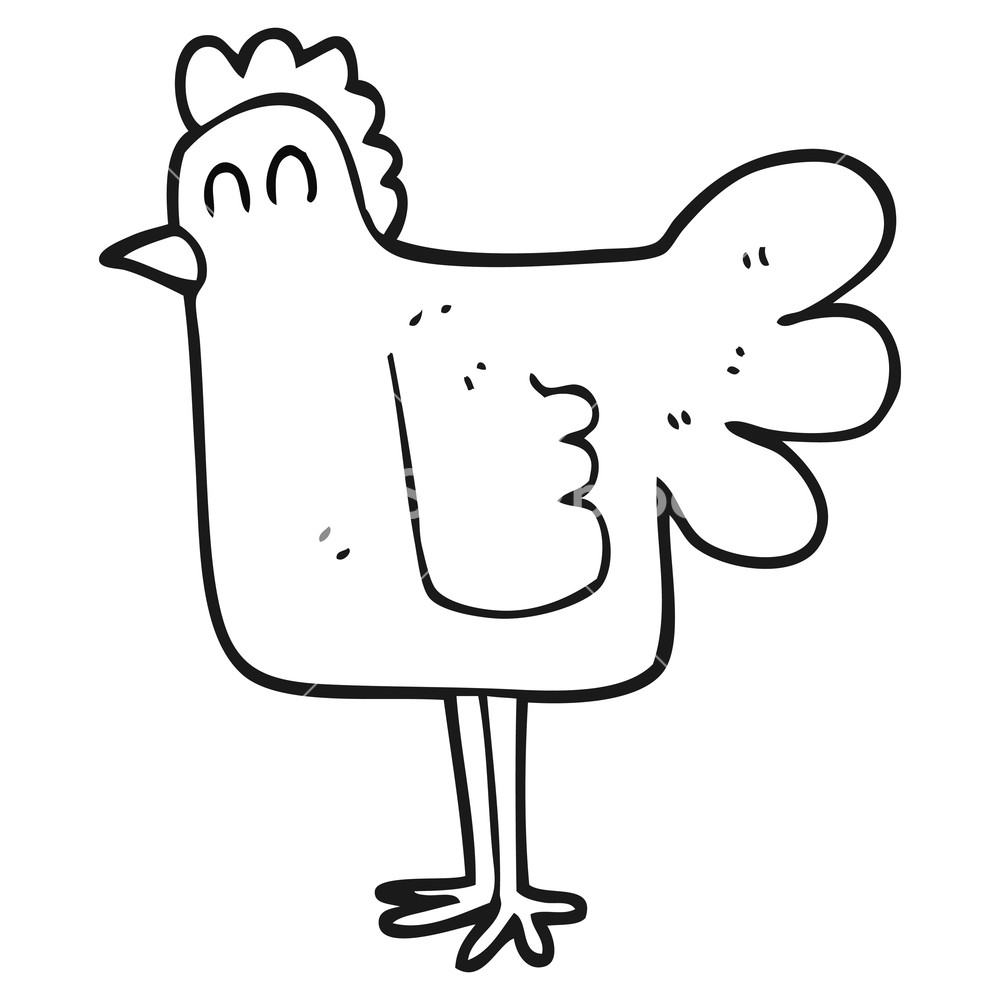 1000x1000 Freehand Drawn Black And White Cartoon Chicken Royalty Free Stock