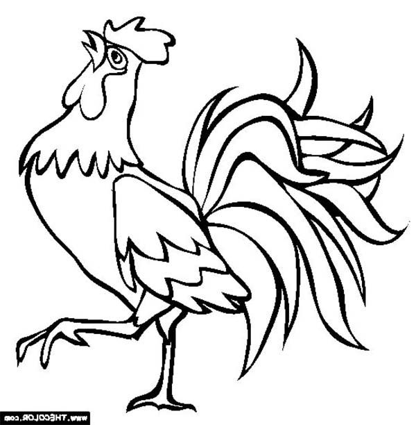 600x612 Huge Collection Of 'cartoon Rooster Drawing' Download More Than