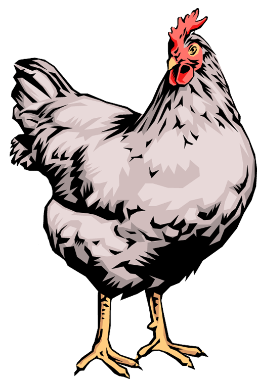 508x750 Quality Clip Art Of Animals That Live On A Farm Rooster Places