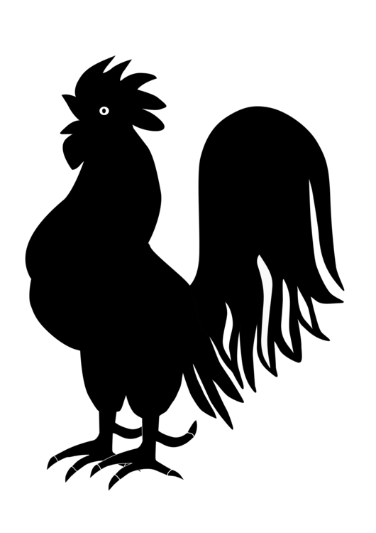 530x750 Rooster Chicken Landfowl Silhouette Drawing Cc0
