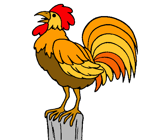 505x470 Drawing, Rooster, Painting, Transparent Png Image Clipart Free