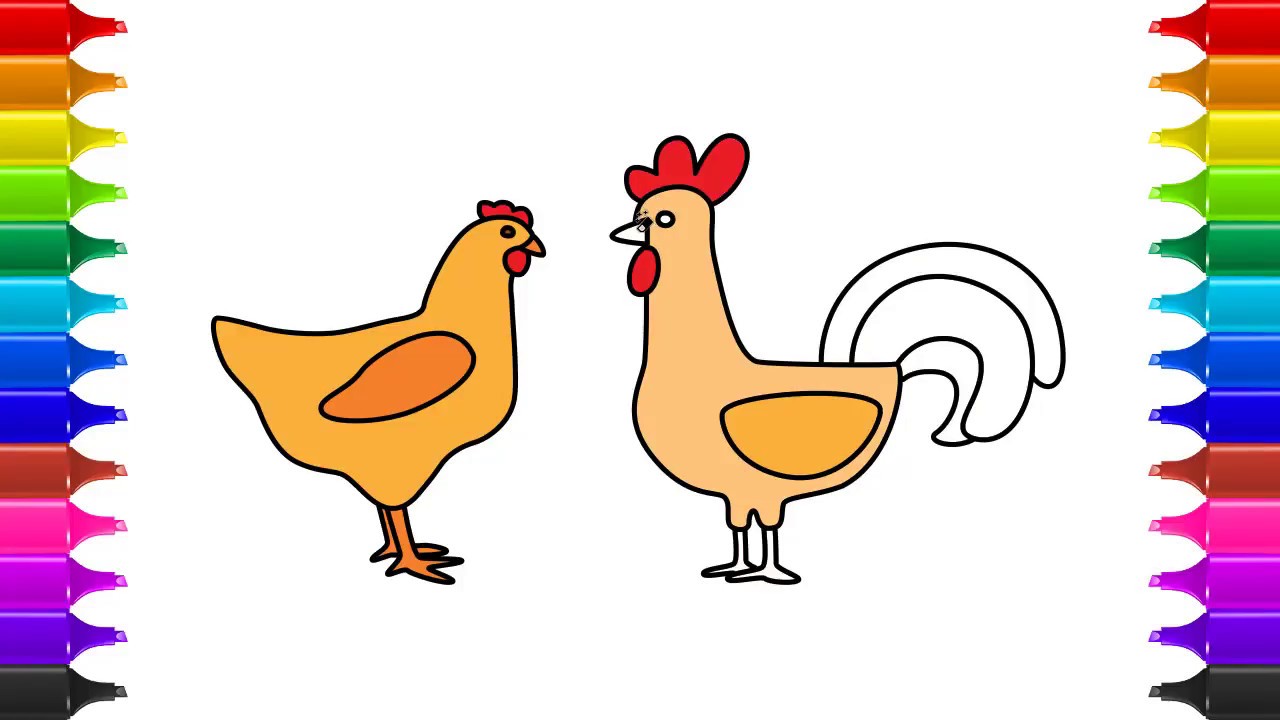 1280x720 how to draw a hen rooster coloring rooster drawing hen