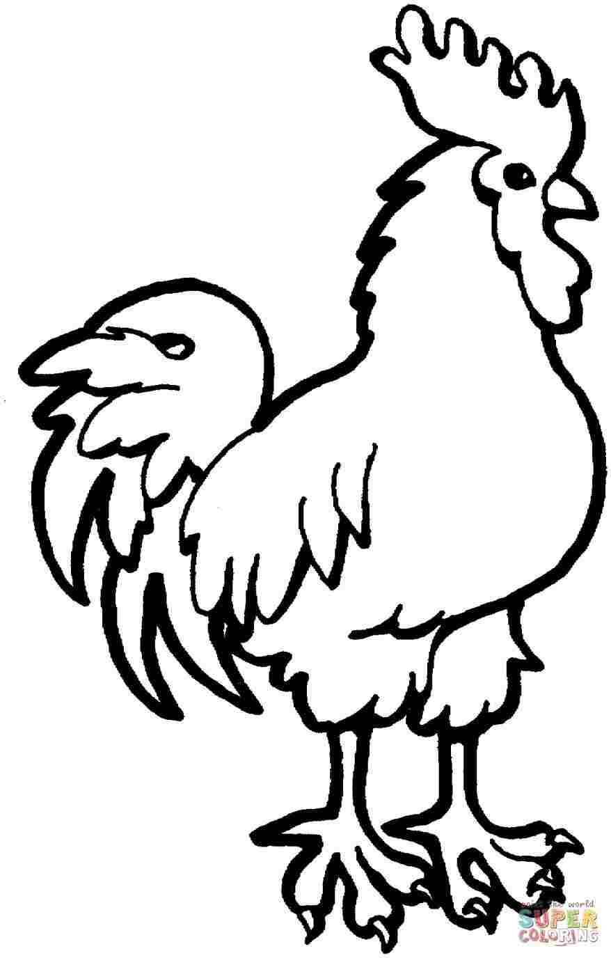 878x1376 Huge Collection Of 'rooster Drawing For Kids' Download More Than
