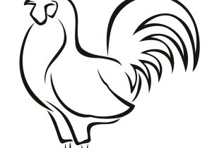 300x210 Rooster Drawing Easy Rooster
