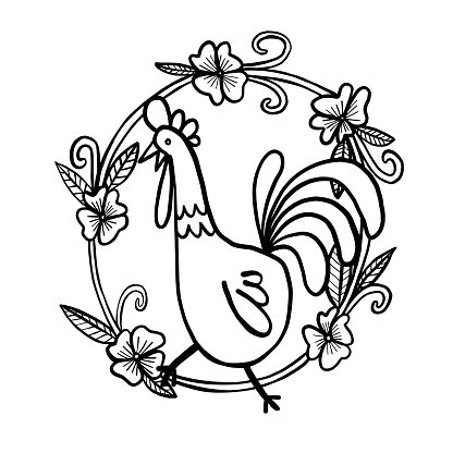 416x416 Rooster Drawing With Flower Frame, Isolated Illustration Stock