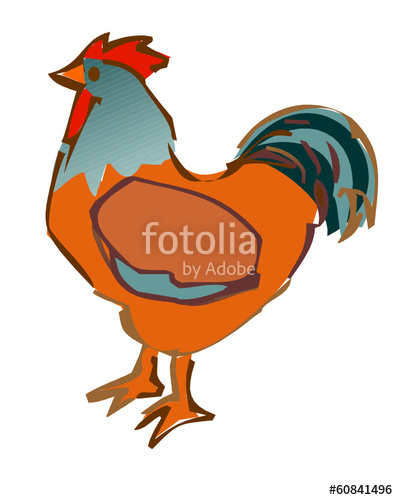 398x500 Rooster Drawing Stock Image And Royalty Free Vector